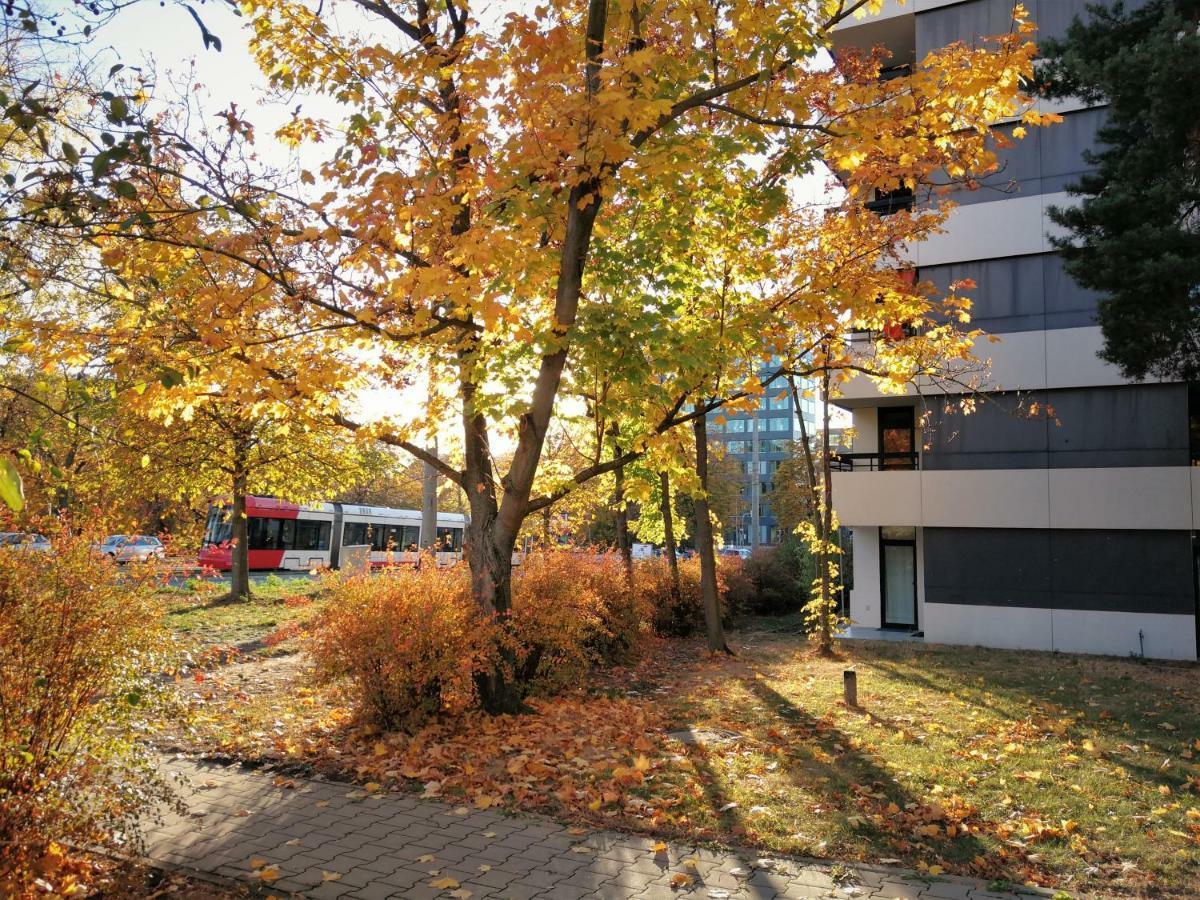Central-Apt At Lake, Citycenter 5Min, Fair 18Min!!! Norymberga Zewnętrze zdjęcie
